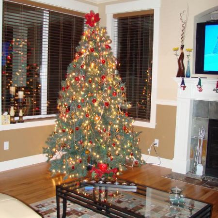 living-christmas time
